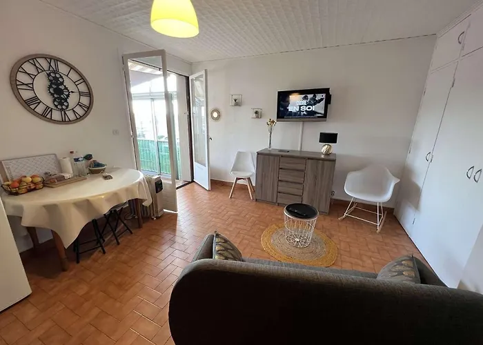 Appartement T2 Climatise, Loggia Ensoleillee, Parking Prive, A 550m De La - - Fr-1-701-54